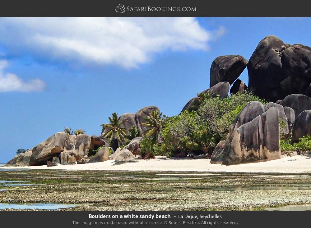 Boulders on La Digue Island in La Digue, Seychelles