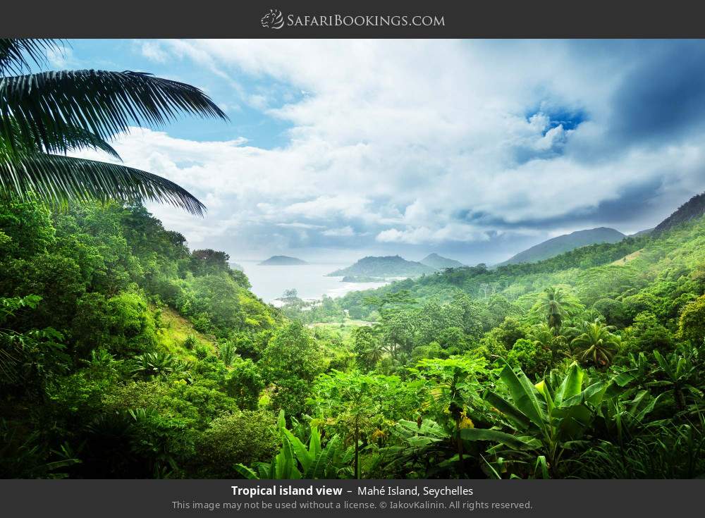 View of Mahé Island in Mahé Island, Seychelles