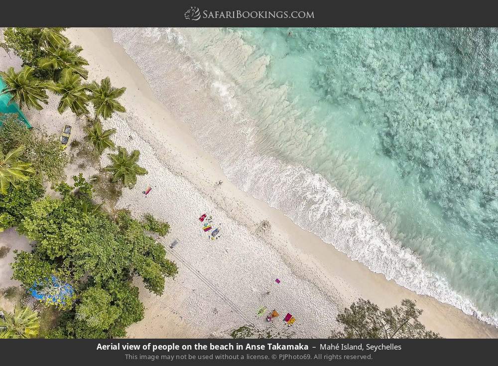 Aerial view of people on the beach in Anse Takamaka in Mahé Island, Seychelles