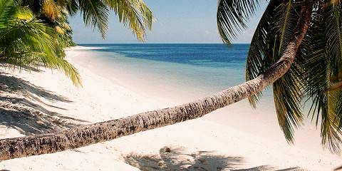 13-Day Kenya Safari & the Seychelles