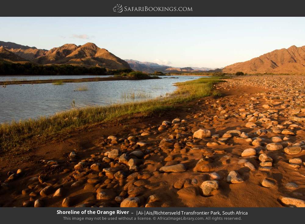 Shoreline of the Orange River in |Ai-|Ais/Richtersveld Transfrontier Park, South Africa