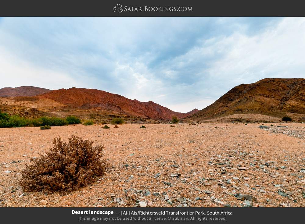 Desert landscape in |Ai-|Ais/Richtersveld Transfrontier Park, South Africa