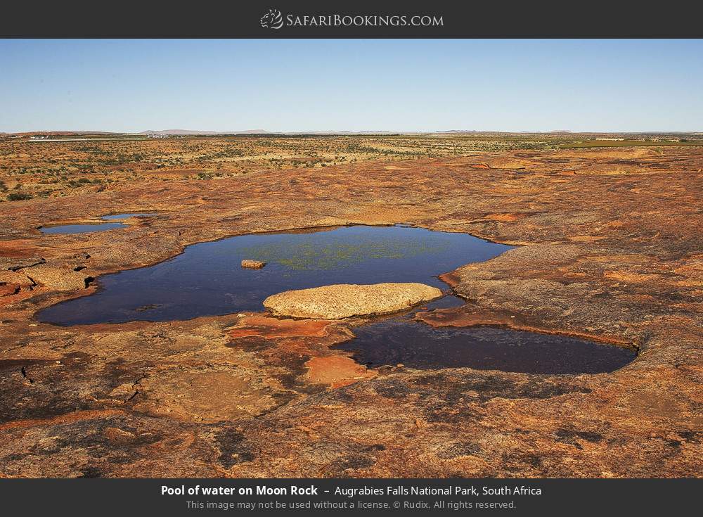 Pool of water on Moon Rock in Augrabies Falls National Park, South Africa