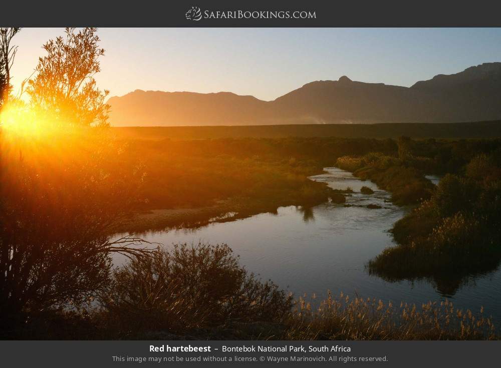 Sunset over the mountains in Bontebok National Park, South Africa