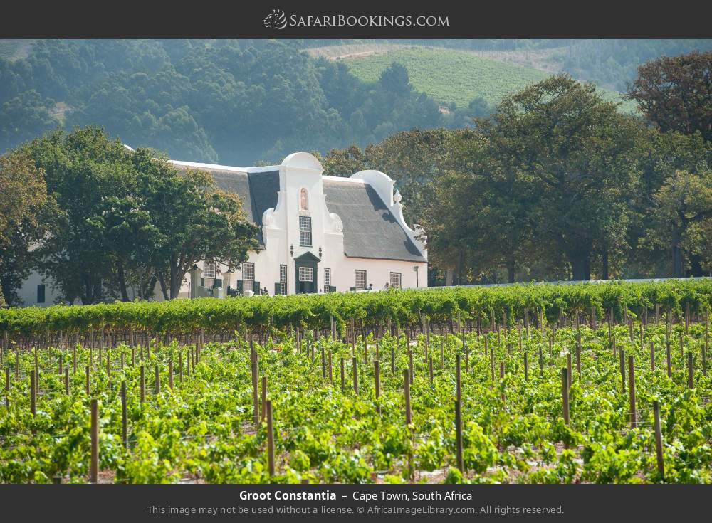 Groot Constantia wine farm in Cape Town in Cape Town, South Africa