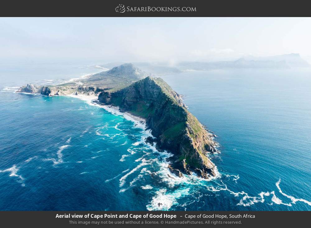 Aerial view of Cape Point and Cape of Good Hope  in Cape of Good Hope, South Africa