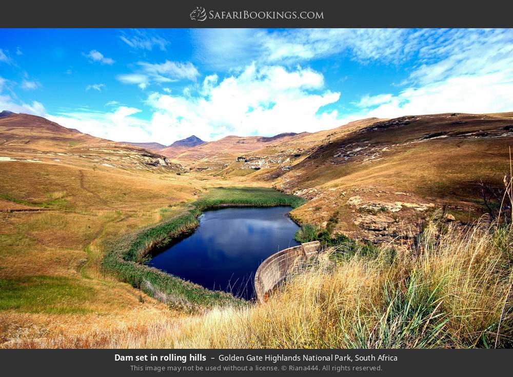 Dam set in rolling hills in Golden Gate Highlands National Park, South Africa