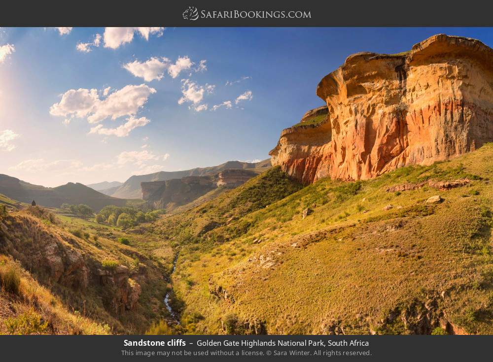 Sandstone cliffs in Golden Gate Highlands NP in Golden Gate Highlands National Park, South Africa