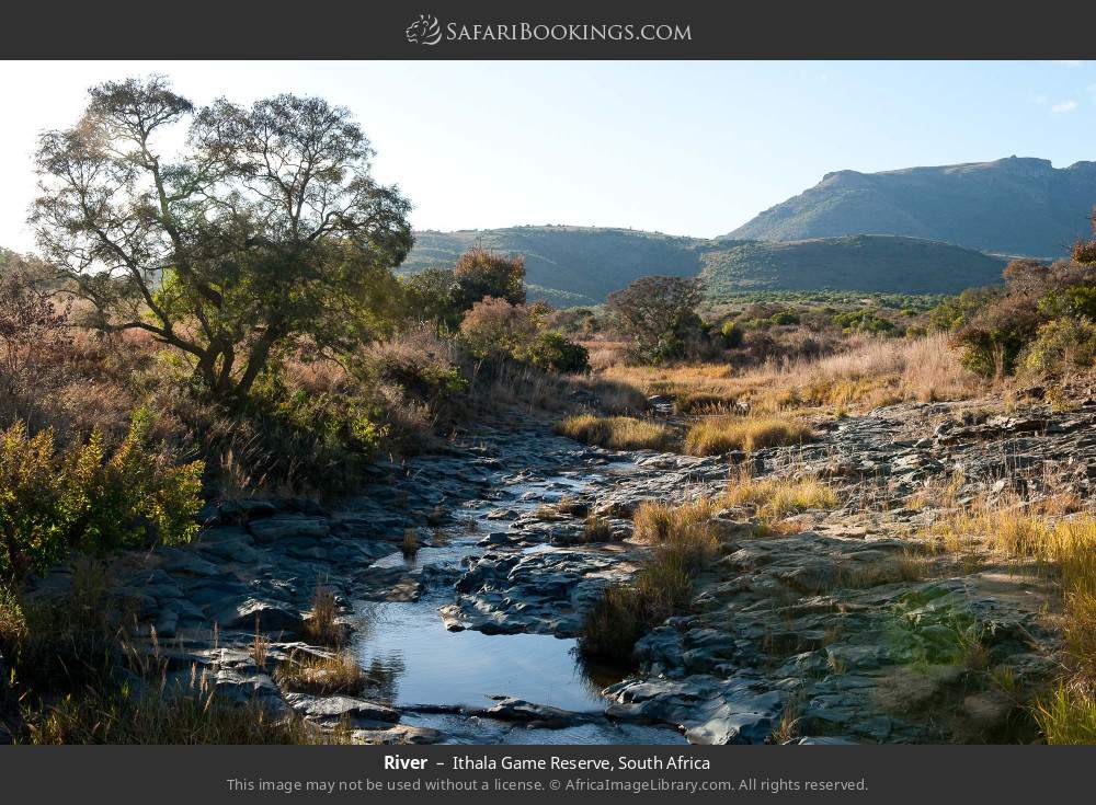 River in Ithala Game Reserve, South Africa
