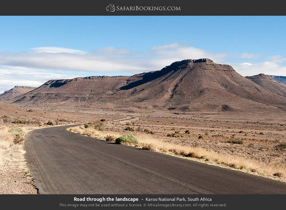 Road through the landscape in Karoo National Park, South Africa
