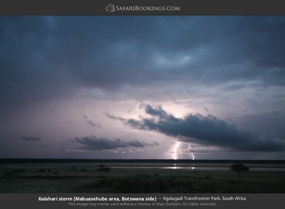 Kalahari storm in Kgalagadi Transfrontier Park, South Africa