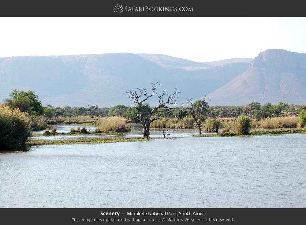 Scenery in Marakele National Park, South Africa