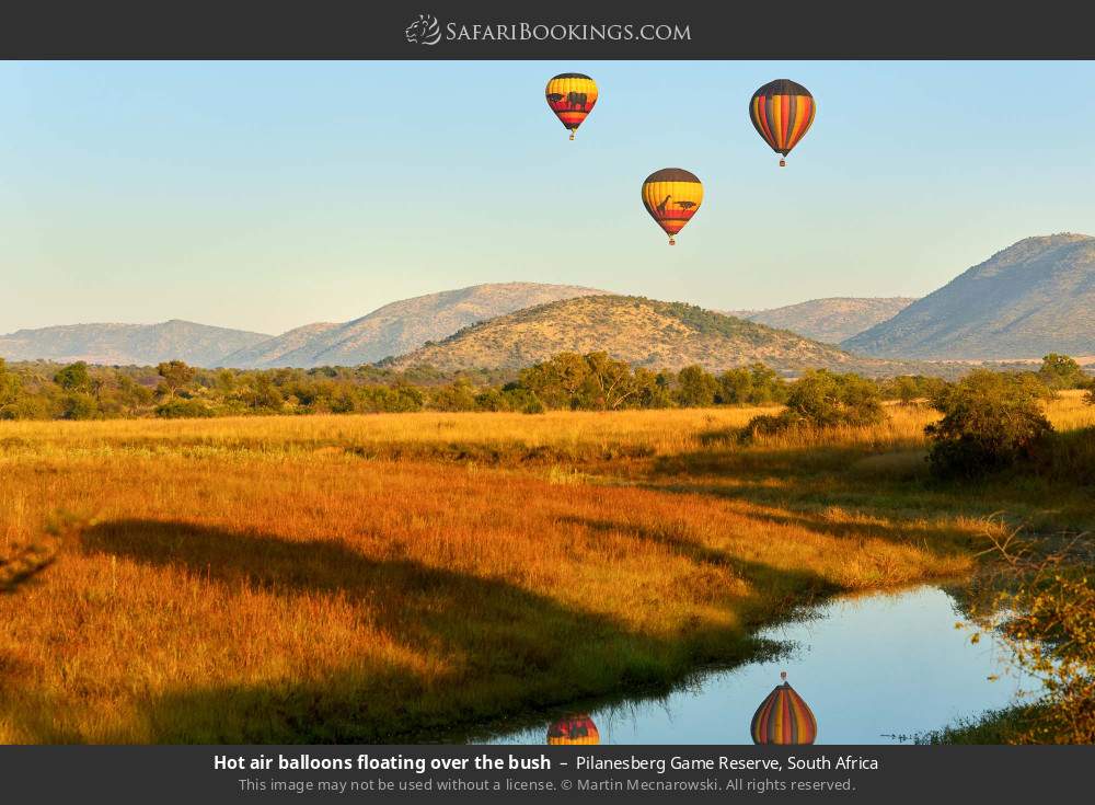 Hot-air balloons floating over the bush in Pilanesberg Game Reserve, South Africa