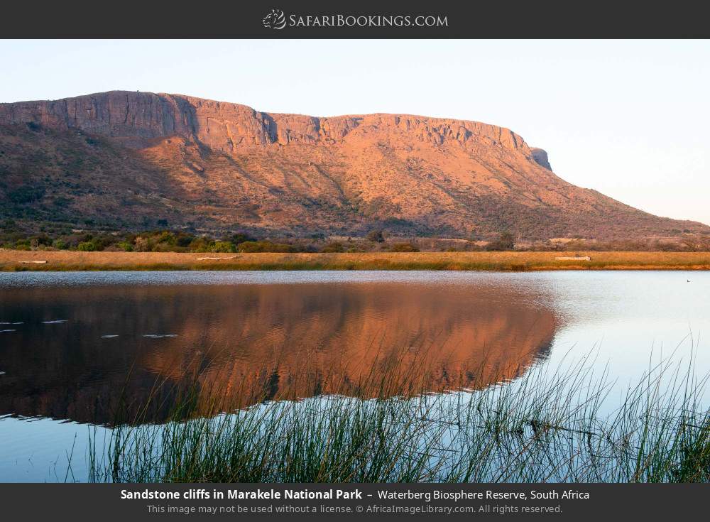 Sandstone cliffs in Marakele NP in Waterberg Biosphere Reserve, South Africa