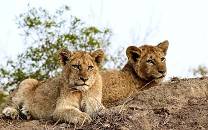 Dulini Game Reserve