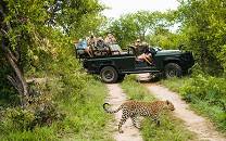 Singita Sabi Sand Game Reserve