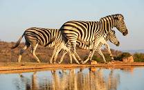 Waterberg Biosphere Reserve