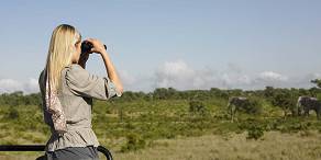 Open Photos