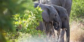 Open Photos