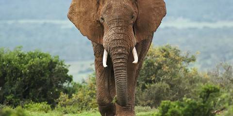 3-Day Aquila Private Game Reserve