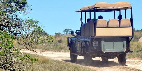 4-Day Fully Customisable Private Kruger Safari
