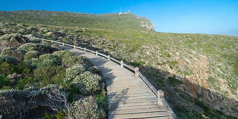 5-Day Private Luxury Garden Route Tour