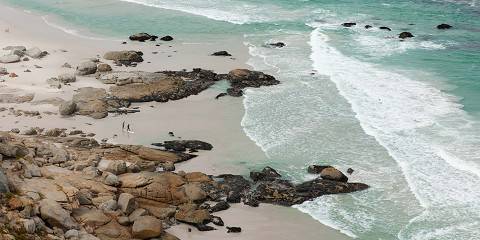 Cape Peninsula & Wine Country Tour