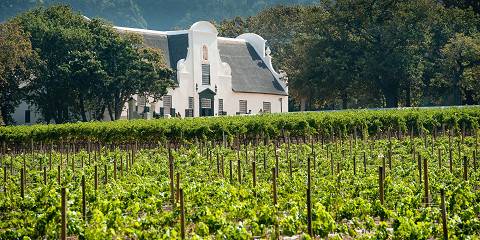 Cape Winelands Discovery Tour