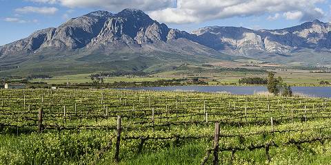 1-Day Explore the Cape Winelands – Paarl to Franschhoek