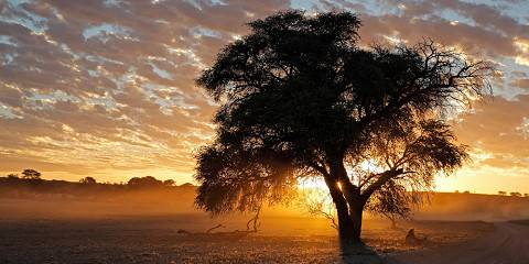 Ultimate Namibian Safari (Lodging)