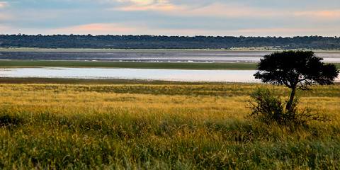 Cape Town & Kruger Cycle Tour - Adventure Safari