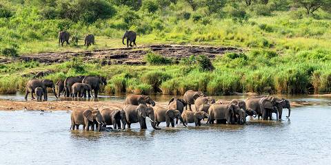 1-Day Kruger National Park Tour