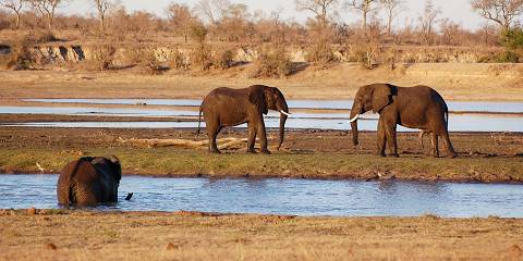 5-Day Big Five Camping Safari with Panorama Highlights