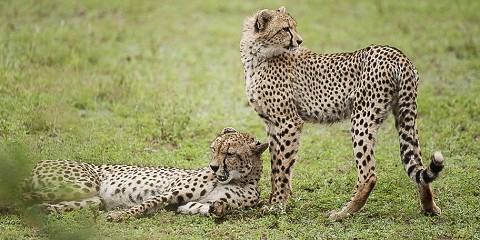 2-Day Budget Kruger NP Safari from Johannesburg