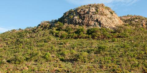 Pilanesberg Safari from Johannesburg