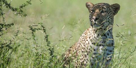 5-Day Budget Kruger Big Five Safari from Johannesburg