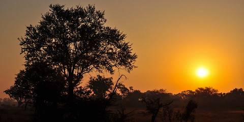 Safari with Night Drive and Panorama Route Tour