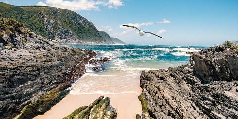 Luxury Garden Route & Addo Group Tour