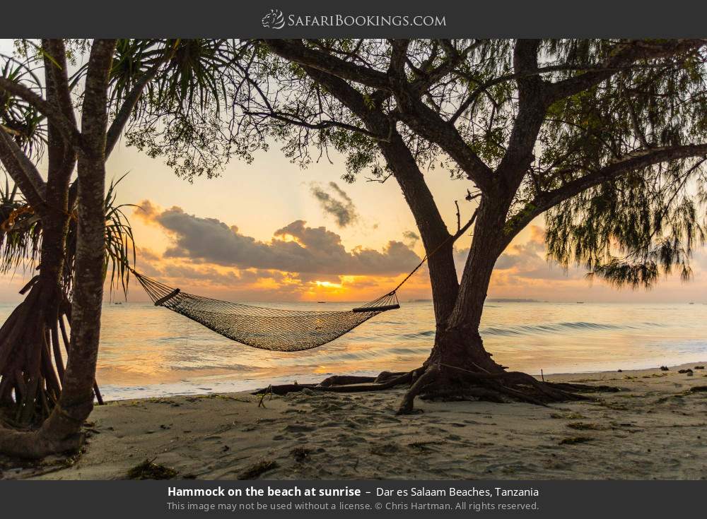 Hammock on a beach at Dar es Salaam at sunrise in Dar es Salaam Beaches, Tanzania