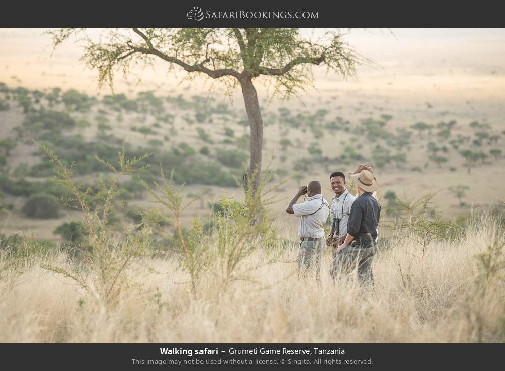 Walking safari in Grumeti Game Reserve, Tanzania