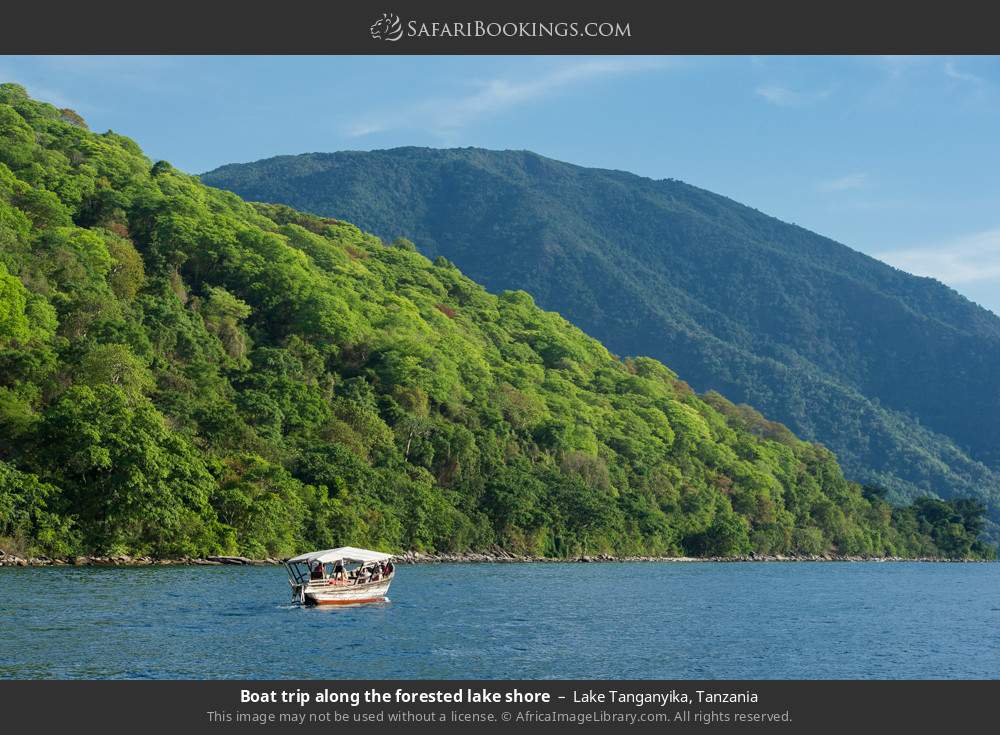 Boat trip along the forested shore of Lake Tanganyika in Lake Tanganyika, Tanzania