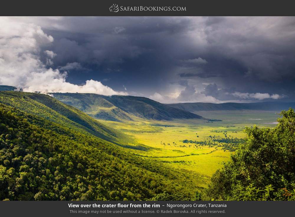 View over the Ngorongoro Crater from the rim in Ngorongoro Crater, Tanzania