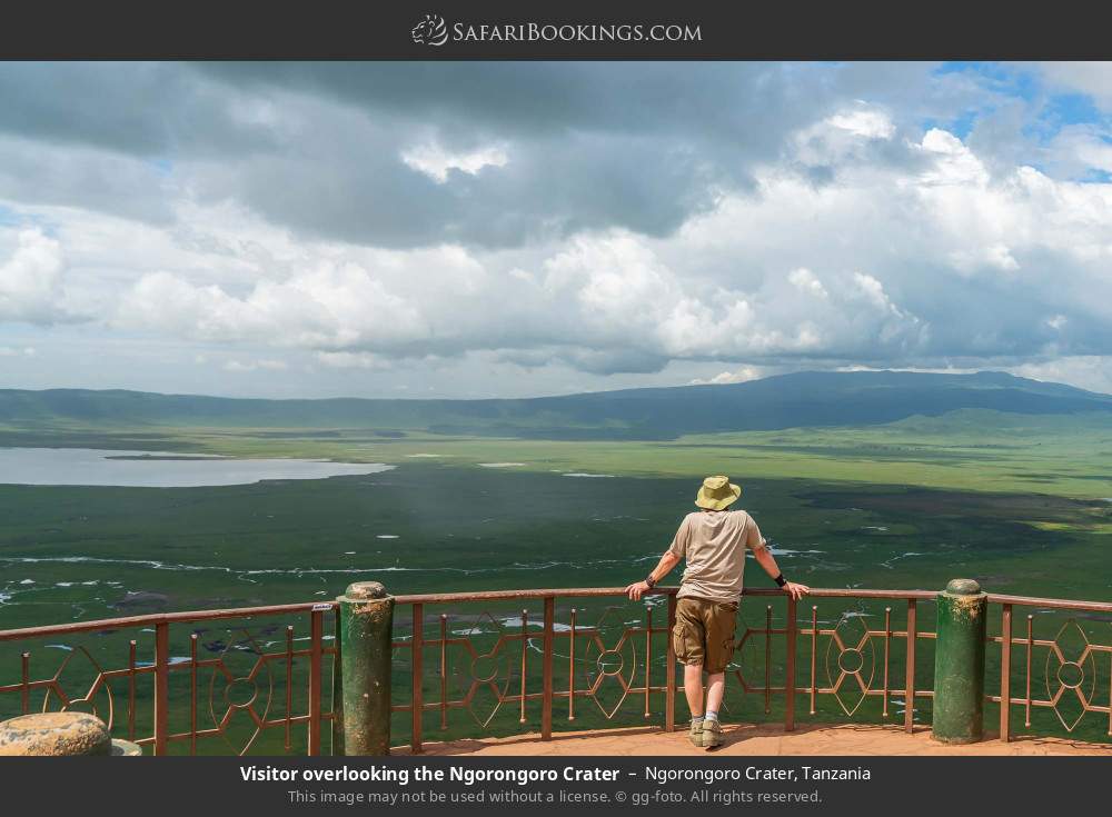 Looking out over the Ngorongoro Crater in Ngorongoro Crater, Tanzania