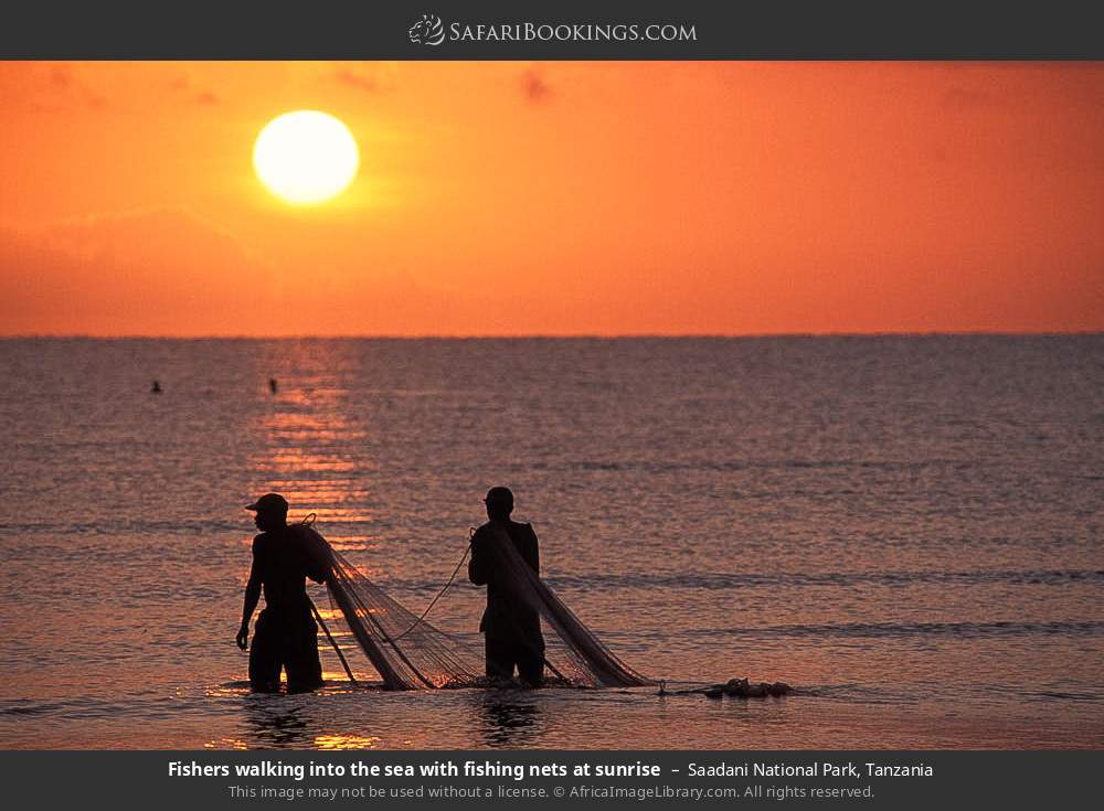 Fishers walking into the sea with nets at sunrise in Saadani National Park, Tanzania