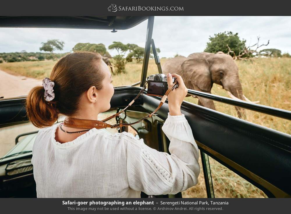 Safari-goer photographing an elephant in Serengeti National Park, Tanzania