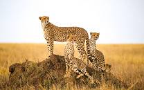 Serengeti National Park