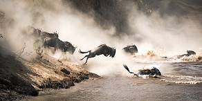 Open Photos