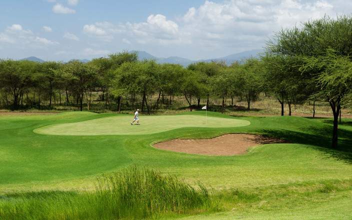 Play a round of golf