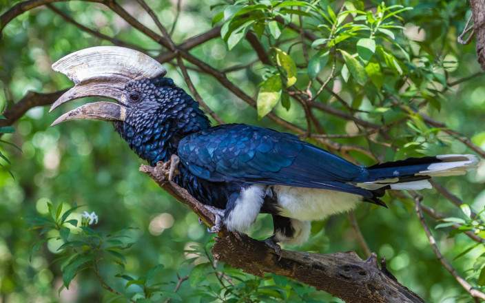 Open Photos