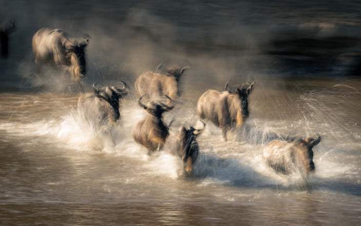 Open Photos